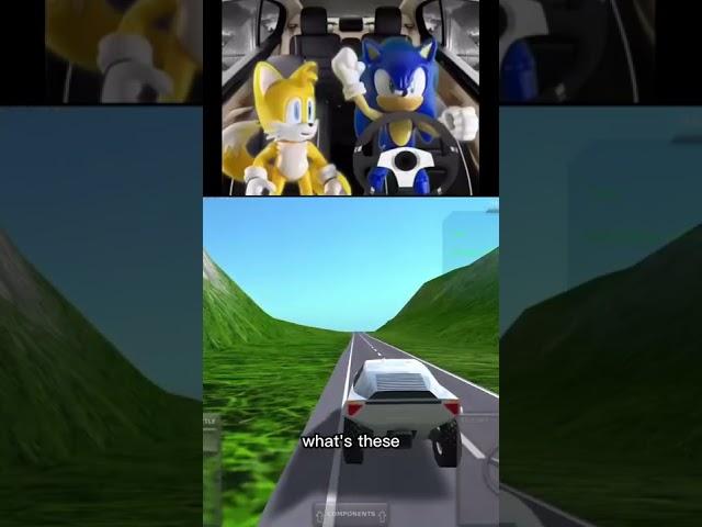 Sonic crashes in Turboprop Flight Simulator #shorts #turbopropflightsimulator #memes