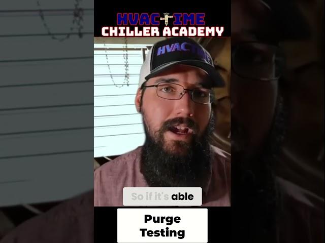 Purge Testing via Leak Search