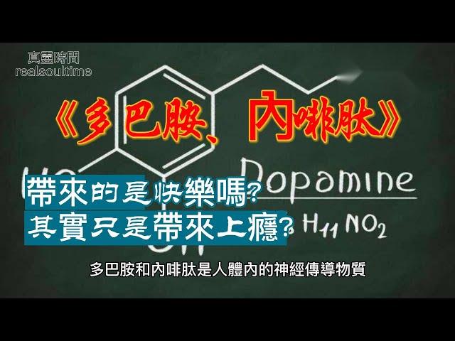 多巴胺、內啡肽帶來的是快樂嗎?其實只是帶來上癮?#道教 #佛教 #修行 #養生 #Taoism #Buddhism #Practice #Health