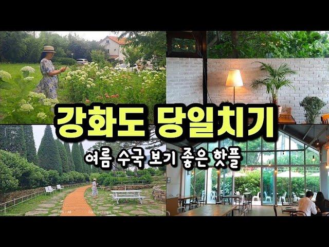 강화도 수국 명소 중심 강화도 당일치기, 강화도 여름 여행