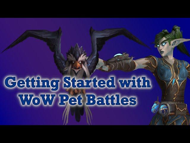 Your FIRST level 25 Battle Pet | How to level your first battle pet fast