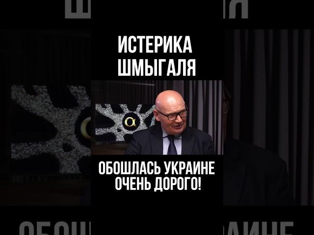 Истерика Шмыгаля обошлась Украине очень дорого! Польский эксперт Пьотр Кульпа