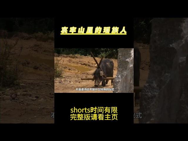 住在中国最神秘哀牢山里的瑶族人，用三角杠套在猪头上防止掉悬崖，丧葬习俗非同一般 #纪录片 #中国#哀牢山#神秘#少数民族#部落