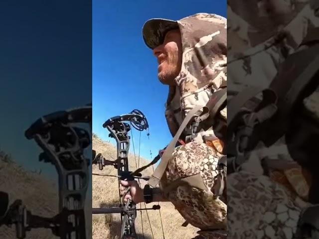 Grinding it out! #antelope #archery #pursuit #shorts