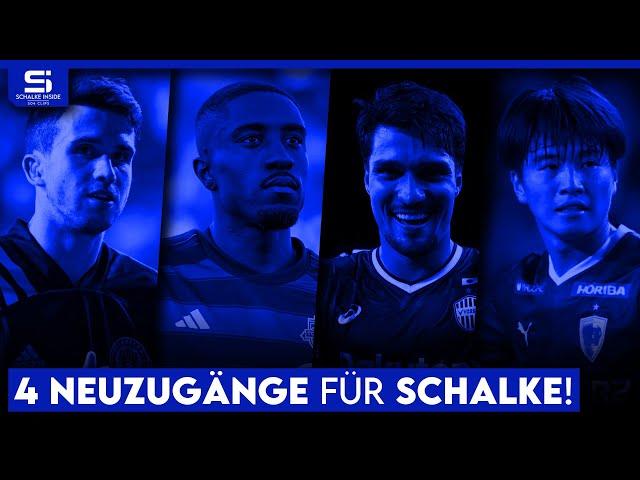 Gut & günstig! Diese ablösefreien Neuzugänge helfen Schalke in der Rückrunde! | S04 Analyse