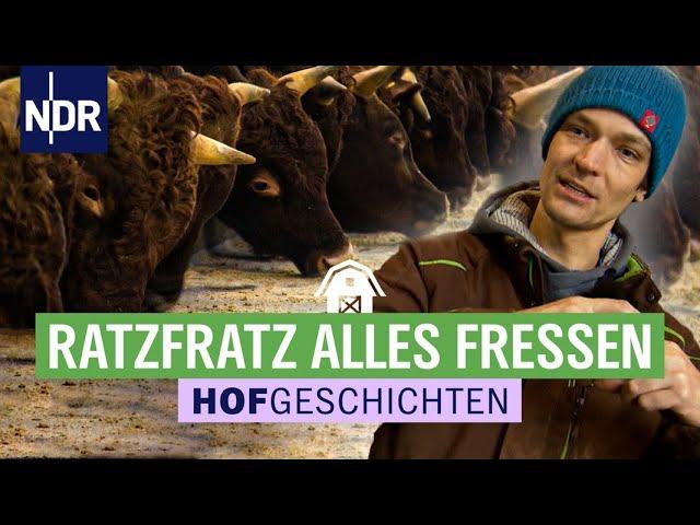 Frühstück für die Rinder, wenn der Futtertisch gereinigt ist | Hofgeschichten: Leben auf dem Land (2