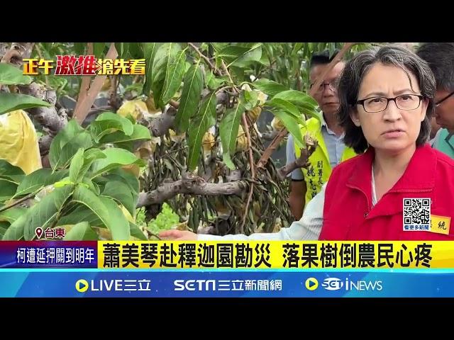 蕭美琴赴台東釋迦園勘災 落果樹倒農民心疼 農民心血泡湯! 蕭美琴指示縣府速辦補助│記者 蔡宥嫻 王浩原│【新聞一把抓】20241102│三立新聞台