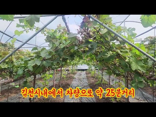 영동부동산샤이농장매매#토지매매#추풍령샤인농장매매#시골주택매매