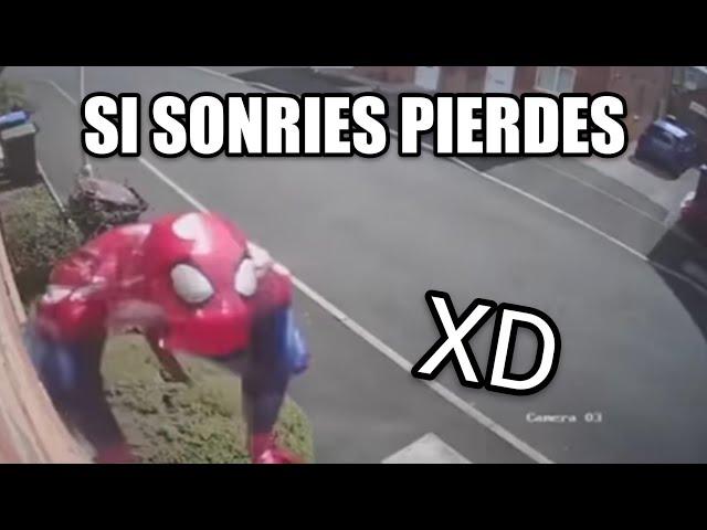 Los Mejores VIDEO MEMES RANDOM #42 Si Te Ries Pierdes, Videos De Risa, Try Not To Laugh Funny Tiktok