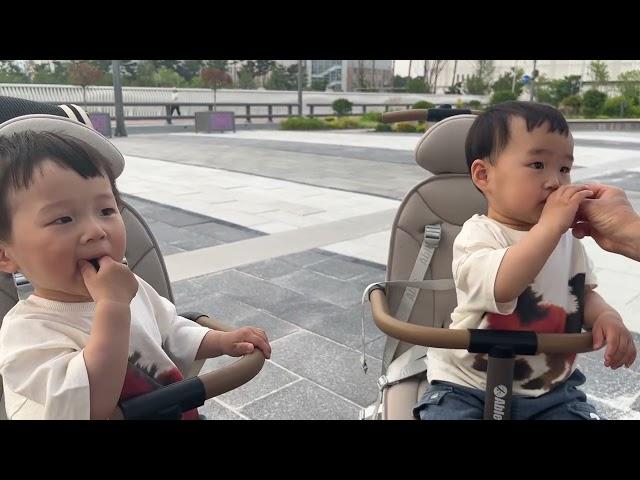 블루베리먹는 쭈니후니
