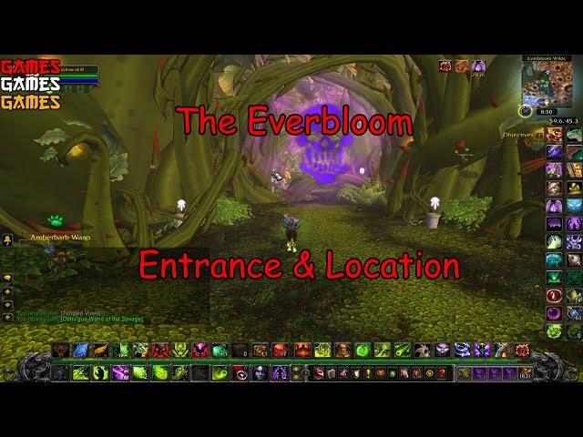 The Everbloom Dungeon Entrance & Location