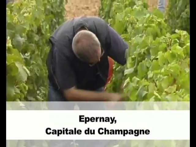 Epernay, une ville où il fait bon vivre !