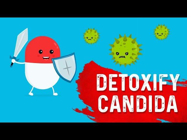 The Most Powerful Candida Infection (Yeast Infection) Killer – Dr. Berg