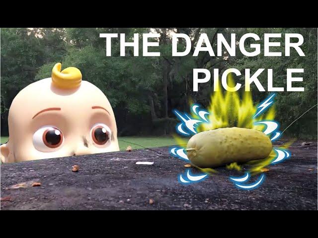 20000 Volts Vs a Pickle