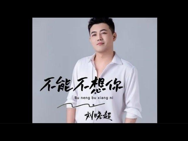 刘晓超- 不能不想你/Liu xiao chao -  bu neng bu xiang ni