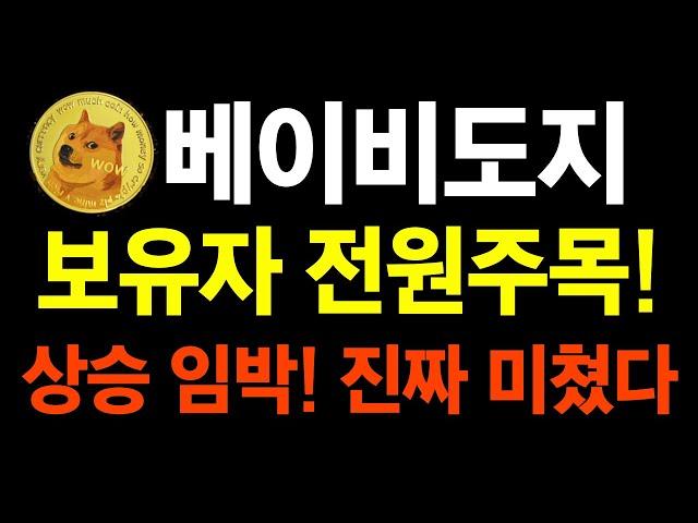 [베이비도지] 보유자 전원주목!! 상승임박! 진짜 미쳤다!