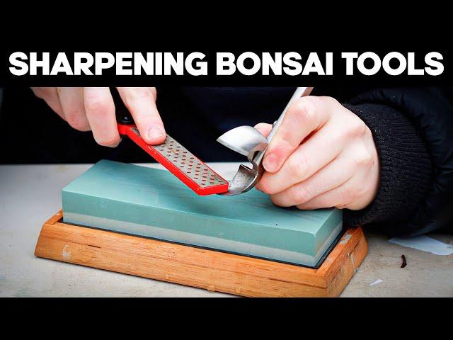 How to Sharpen and Maintain your Bonsai Tools ️