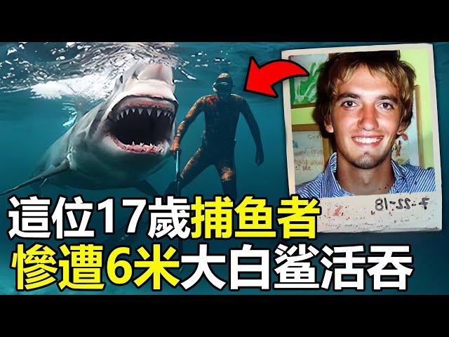 澳洲17歲少年，潜水捕魚，慘遭6米大白鯊活吞，海水泛起血色浪花，場面太殘忍了#腦洞大開 #世界之最 #地球最top #動物 #动物 #災難 #鲨鱼 #美國