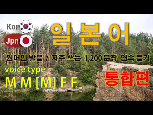 일본어 / Type M M [M] F F [통합편] 원어민 발음. 짧고 쉬운 1,200(8 hr) 문장 연속 듣기.  / 생활 회화. 식당. 교통. 쇼핑. 호텔. 공항. 병원.