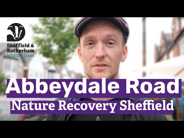 Abbeydale Road: Nature Recovery Sheffield | Sheffield & Rotherham Wildlife Trust