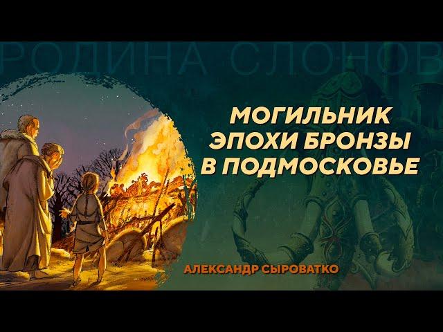 Новые погребения эпохи бронзы в Соколовой Пустыни. Александр Сыроватко. Родина слонов №412