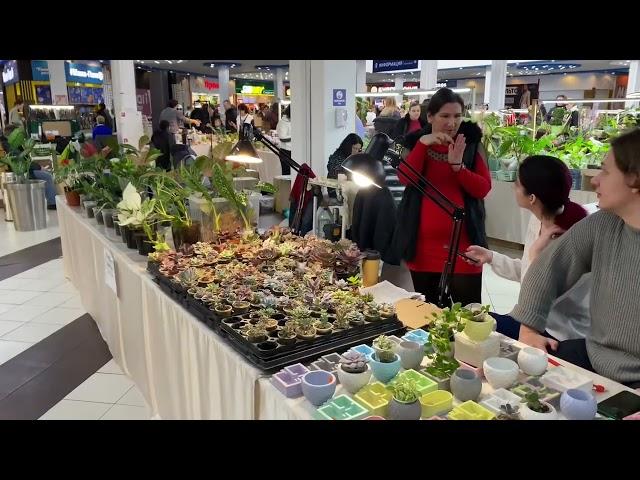 САМАЯ БОЛЬШАЯ ВЫСТАВКА ЦВЕТОВ В  НАШЕМ КРАЕ.