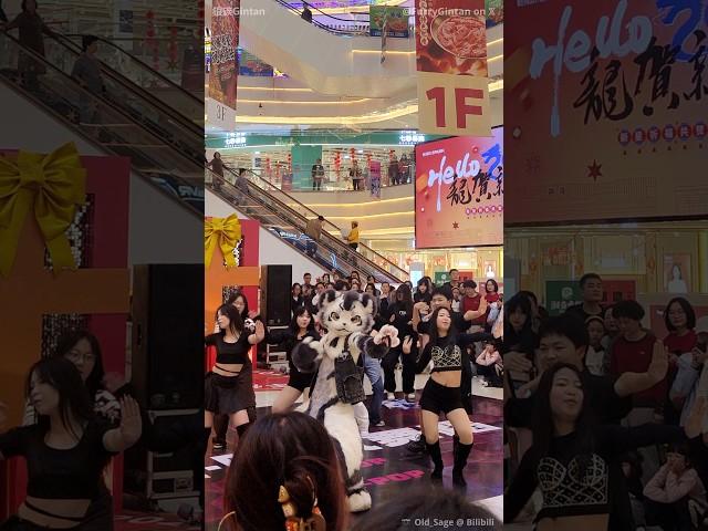 【Fursuit Dance】 银碳Gintan - (G)I-DLE 'SUPER LADY'