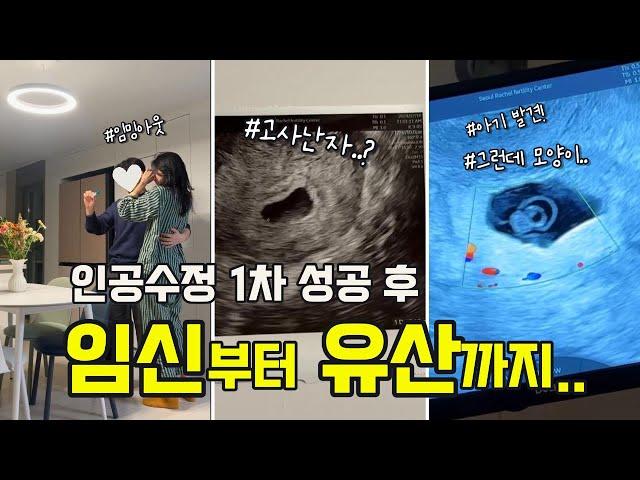 난임브이로그 ep.3 인공수정 후 임신부터 유산까지.. 고사난자, 아기 발견, 결국 계류유산