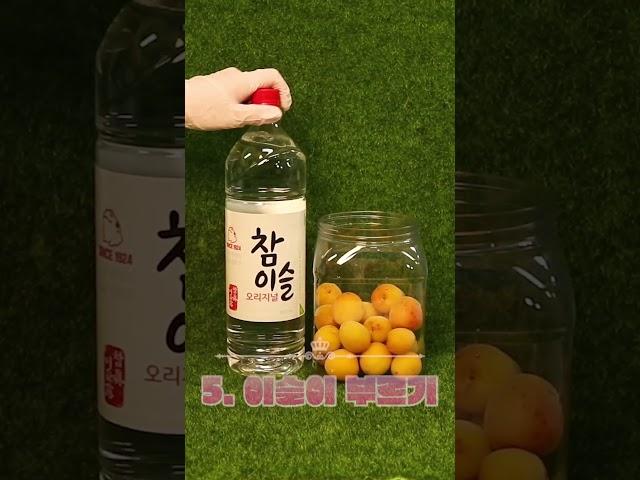 너넨 초록매실밖에 모르지? 난 빨간매실이야 홍매실 향기 조와....