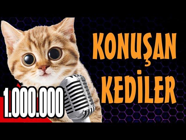 Konuşan Kediler 1000000 - En Komik Kedi Videoları