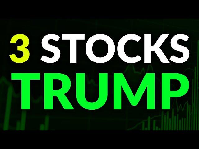 3 Small Cap Stocks to BUY After Trump Win  (Multibagger Potential)