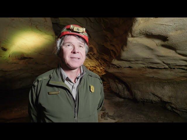 Shark Relics of Mammoth Cave