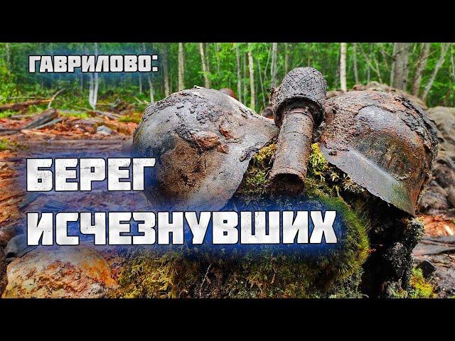 85 солдат с забытого поля боя/Раскопки Второй Мировой войны