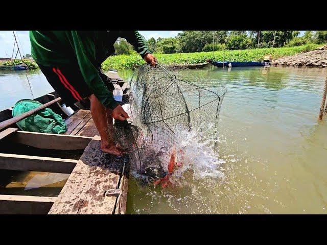 Thua Keo Này Ta Liền Bày Keo Khác | Tung 66TV