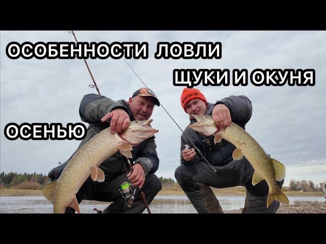 ОСОБЕННОСТИ ЛОВЛИ ЩУКИ И ОКУНЯ ОСЕНЬЮ!!!