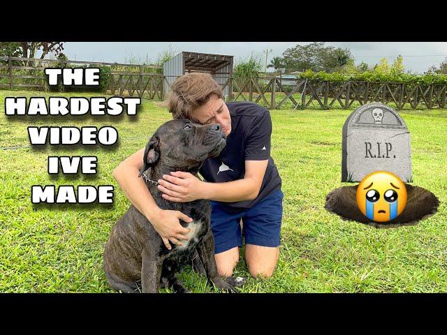 RIP MY DOG.... THE HARDEST VIDEO IVE EVER MADE !