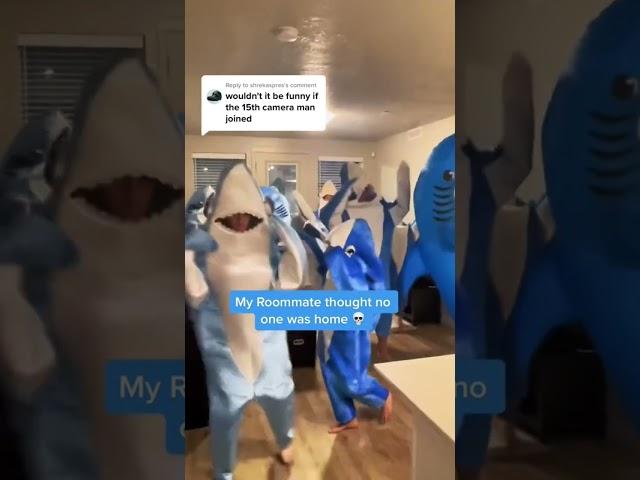 15th Camerman joins Viral Sharks #LeftShark #KatyPerry #DancingShark #DancingSharks #CaliforniaGurls