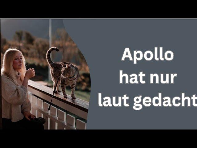 Warum Cosmo nach Apollo gesucht hat