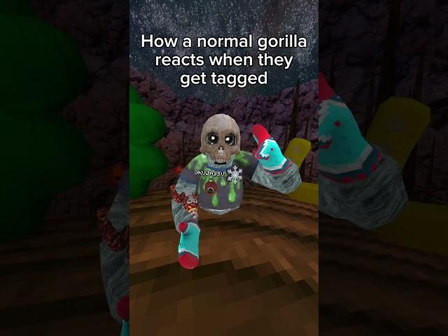 Fancy vs normal gorilla when they get tagged  #gorillatag #vr #gtag #funny