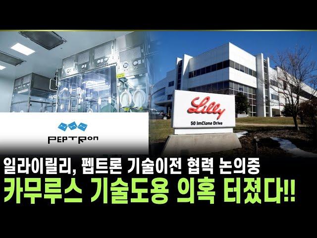 [펩트론 주가전망] 카무루스 기술 도용 터졌다!! 다음주 펩트론은 25만원을 뚫어줄 것인가!?  | 강산