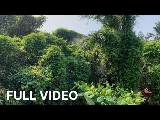 SURPRISE We Cleaning MAFIA'S Beautiful Villa | Mow OVERGROWN Grass Villa ABANDONED For 50 Year