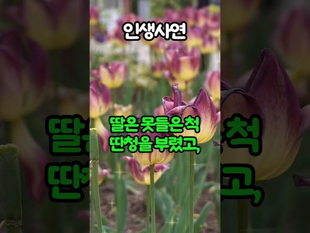 마흔다섯에 낳은 딸... 결혼식 앞두고 저를 무너뜨렸습니다. #실제사연 #부모자식 #오디오북 #인생사연 #노후사연