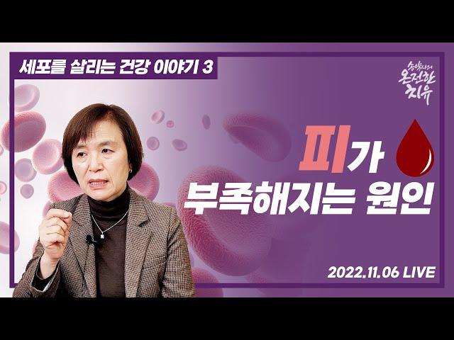 피가 부족해지는 원인 | 혈허 3편