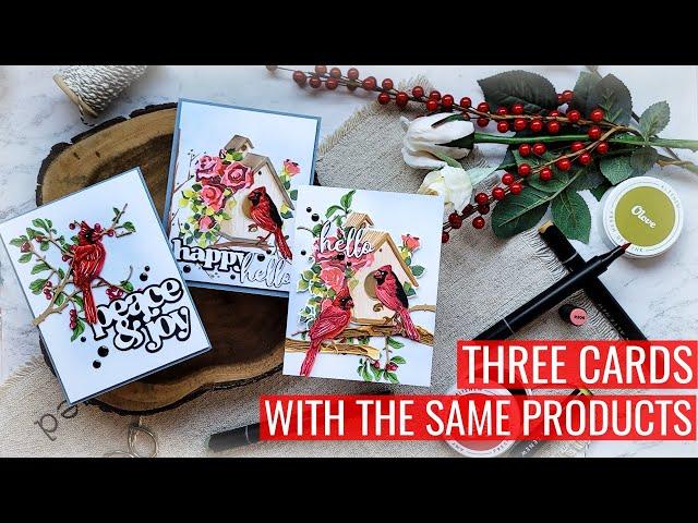 Three Cards with the Same Products, New Altenew Cardstock, and a Limited Time Free Gift Just for Us!