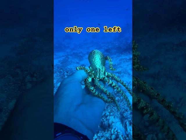 It Was Very Deep When I Found It!  #funny