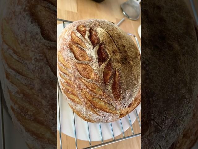 쿠프나이프없이 스코어링 가능? #홈베이킹 #사워도우 #에어프라이어베이킹 #bread #sourdough #baking