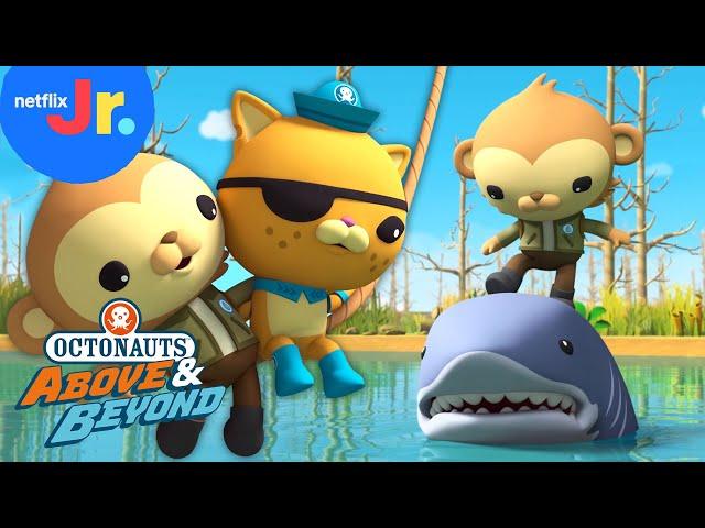 Alligator-Shark Showdown / Quest for Cocoa  Octonauts: Above & Beyond FULL EPISODE