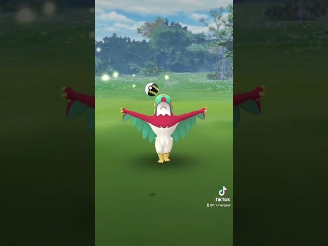 Caught Mexico’s new regional in Pokémon GO: Hawlucha #pokemon #pokemongo #regional #hawlucha