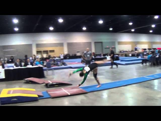 Mary Elle Arduino - Vault; Regionals April 17, 2015