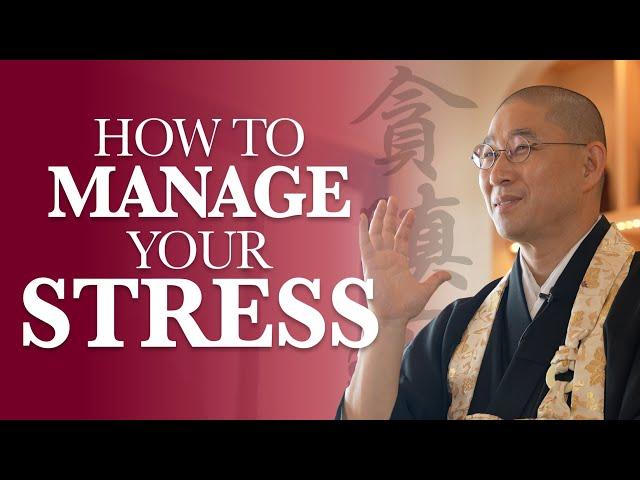 The root cause of stress and 3 ways to avoid it